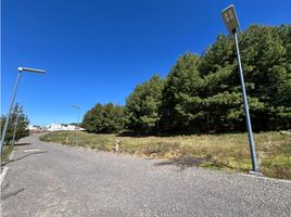  Land for sale in Patzcuaro, Michoacan, Patzcuaro