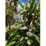 Appartement 4 chambre à vendre à Cozumel, Quintana Roo, Cozumel