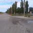 Land for rent in Confluencia, Neuquen, Confluencia
