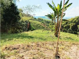  Terrain for sale in Caldas, Palestina, Caldas