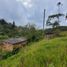 Terrain à vendre à Guarne, Antioquia, Guarne, Antioquia
