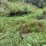 Terrain à vendre à Guarne, Antioquia, Guarne, Antioquia