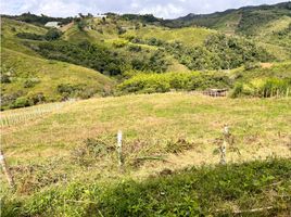  Terreno (Parcela) en venta en La Cumbre, Valle Del Cauca, La Cumbre