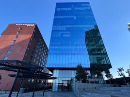 231 제곱미터입니다 Office for rent in 바자 캘리포니아, 티후아나, 바자 캘리포니아