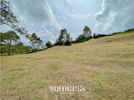  Land for sale in El Carmen De Viboral, Antioquia, El Carmen De Viboral