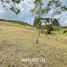  Land for sale in El Carmen De Viboral, Antioquia, El Carmen De Viboral