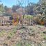  Terreno (Parcela) en venta en Zapopan, Jalisco, Zapopan, Jalisco