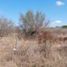  Land for sale in Cadereyta Jimenez, Nuevo Leon, Cadereyta Jimenez