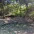  Terreno (Parcela) en venta en Santiago, Nuevo León, Santiago, Nuevo León