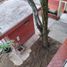 3 Schlafzimmer Appartement zu verkaufen in Cali, Valle Del Cauca, Cali