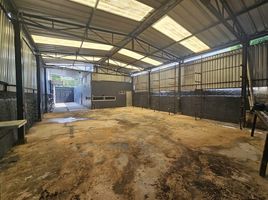 0 m² Office for sale in Merida, Yucatán, Merida