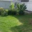 4 Bedroom House for rent in Coyoacan, Mexico City, Coyoacan