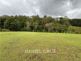  Land for sale in Totoro, Cauca, Totoro