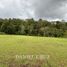  Land for sale in Totoro, Cauca, Totoro