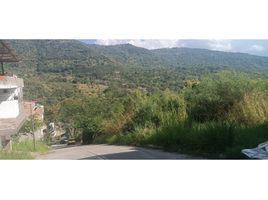  Land for sale in San Gil, Santander, San Gil