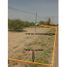  Land for rent in San Pedro, Coahuila, San Pedro