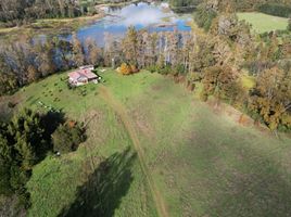  Terreno (Parcela) en venta en Valdivia, Los Ríos, Mariquina, Valdivia