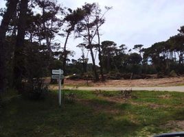  Land for sale in Pinamar, Buenos Aires, Pinamar