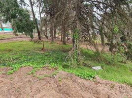  Land for sale in Pinamar, Buenos Aires, Pinamar