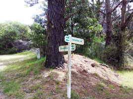  Grundstück zu verkaufen in Pinamar, Buenos Aires, Pinamar, Buenos Aires