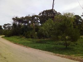  Land for sale in Pinamar, Buenos Aires, Pinamar