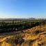  Terreno (Parcela) en venta en Colina, Chacabuco, Colina