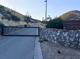  Terreno (Parcela) en venta en Colina, Chacabuco, Colina