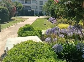 2 Bedroom Villa for rent in Santiago, Santiago, Santiago, Santiago