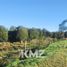  Terreno (Parcela) en venta en Llanquihue, Los Lagos, Los Muermos, Llanquihue