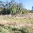  Terreno (Parcela) en venta en Chile, Los Muermos, Llanquihue, Los Lagos, Chile