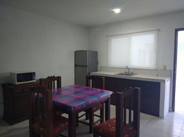 Appartement 1 chambre à louer à Merida, Yucatan, Merida, Yucatan