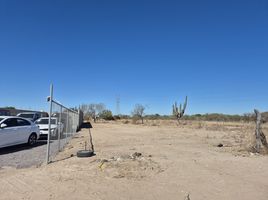在Baja California Sur出租的 土地, La Paz, Baja California Sur