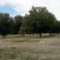  Land for sale in Sacramento, Coahuila, Sacramento