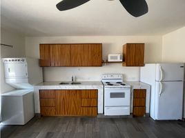 1 Bedroom Apartment for rent in La Paz, Baja California Sur, La Paz, Baja California Sur