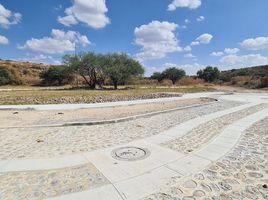  Land for sale in Villa Hidalgo, Jalisco, Villa Hidalgo