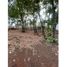  Land for sale in Morelia, Michoacan, Morelia