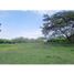  Land for sale in Valle Del Cauca, El Cerrito, Valle Del Cauca