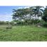  Land for sale in Valle Del Cauca, El Cerrito, Valle Del Cauca