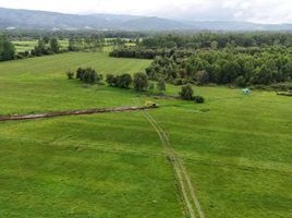  Land for sale in Los Rios, Valdivia, Valdivia, Los Rios