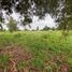  Land for sale in Rojas, Buenos Aires, Rojas