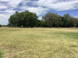  Land for sale in San Vicente, Buenos Aires, San Vicente