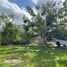  Terreno (Parcela) en venta en Merida, Yucatán, Merida, Yucatán