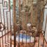 5 Schlafzimmer Villa zu verkaufen in Naucalpan De Juarez, Mexico, Naucalpan De Juarez, Mexico