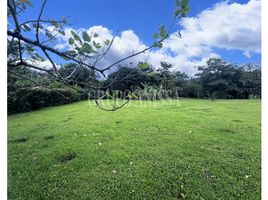  Terrain for sale in Anton Valley, El Valle, El Valle