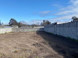  Terreno (Parcela) en alquiler en Chile, Coronel, Concepción, Biobío, Chile