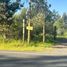  Land for sale in Chile, Chillan, Diguillin, Nuble, Chile