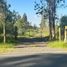  Land for sale in Chile, Chillan, Diguillin, Nuble, Chile