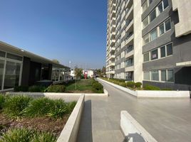 1 Bedroom Apartment for rent in Cordillera, Santiago, San Jode De Maipo, Cordillera