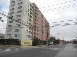 3 Bedroom Condo for rent in Copiapo, Atacama, Copiapo, Copiapo