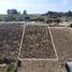  Land for sale in Chile, Puchuncavi, Valparaiso, Valparaiso, Chile